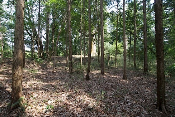 File:Mumo17.jpg