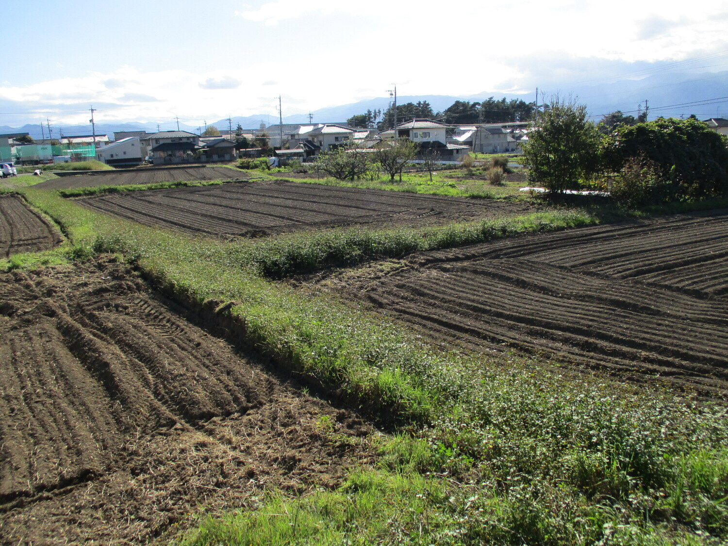 MomoseYashiki (1).JPG