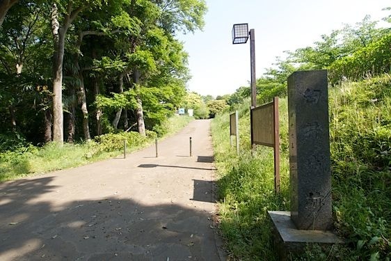 File:Usui21.jpg