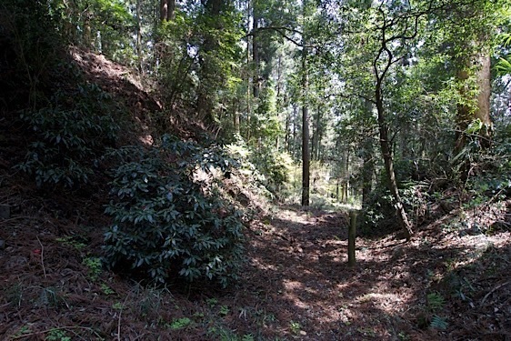 File:Mumo9.jpg