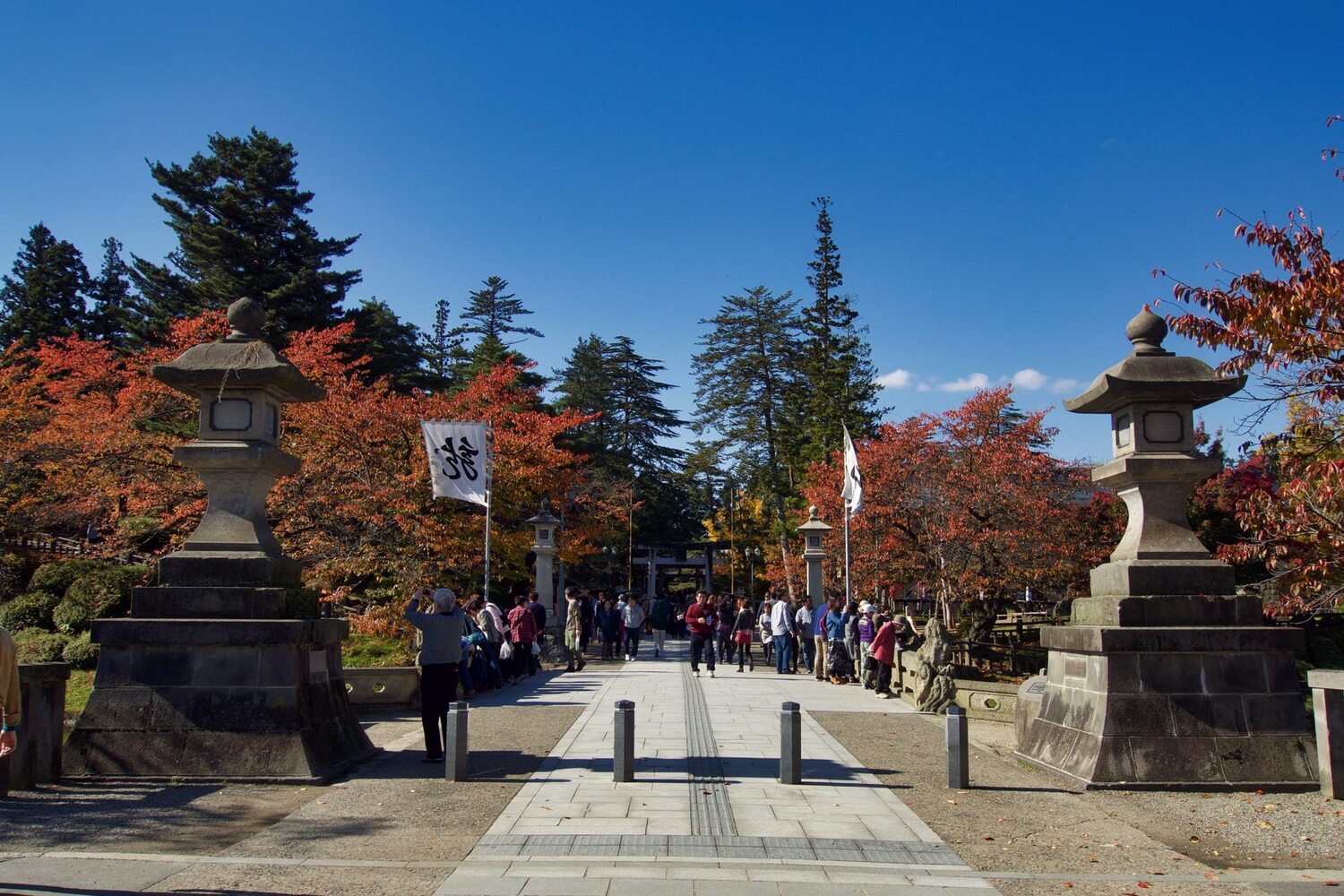 Yonezawa23.jpg