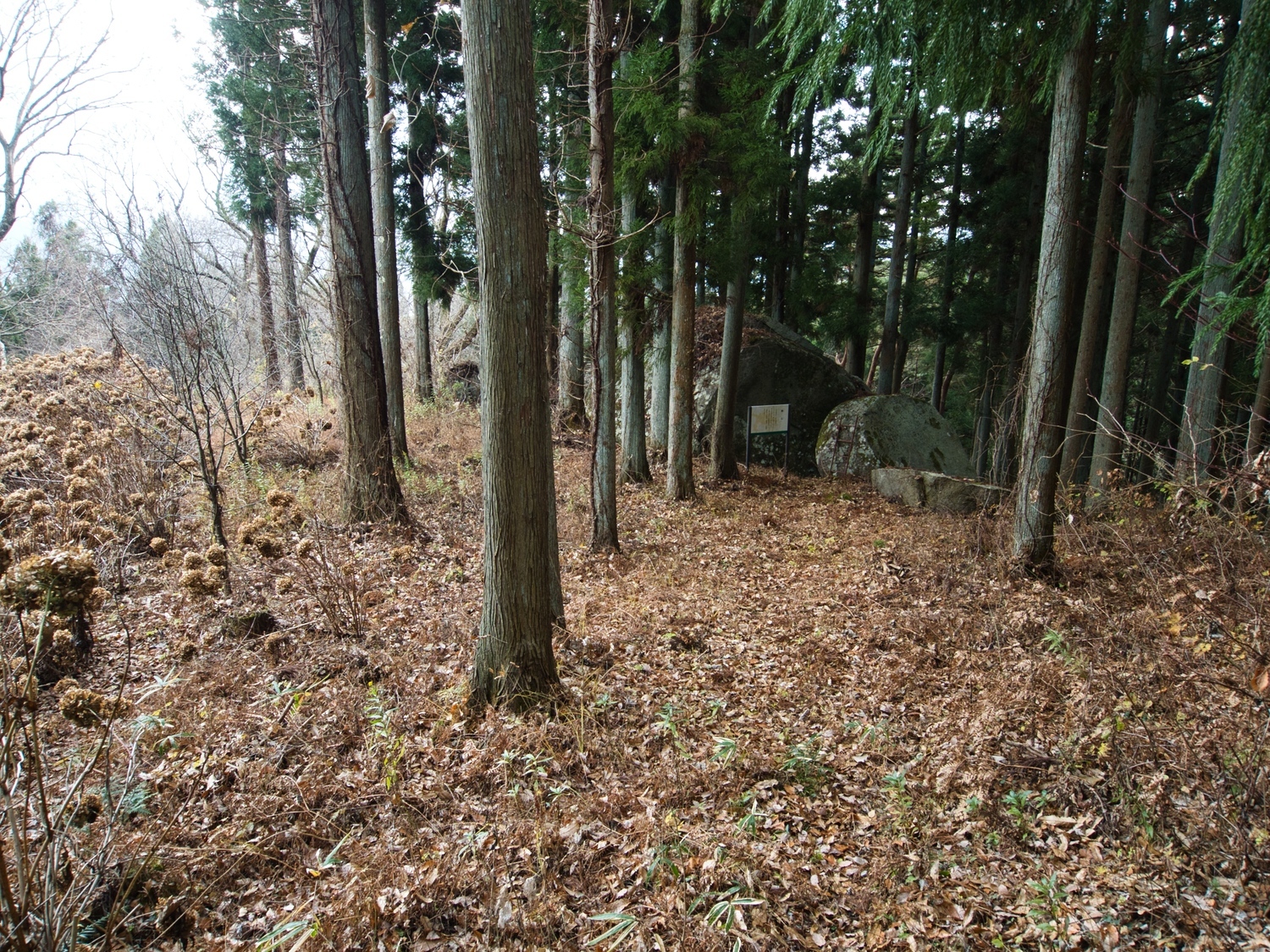 Ogoe18.jpg
