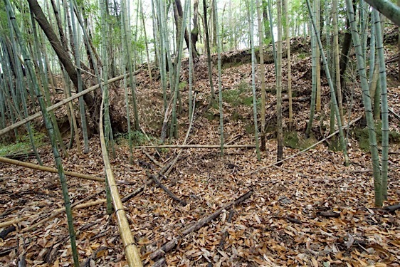 File:Akutagawasan23.jpg