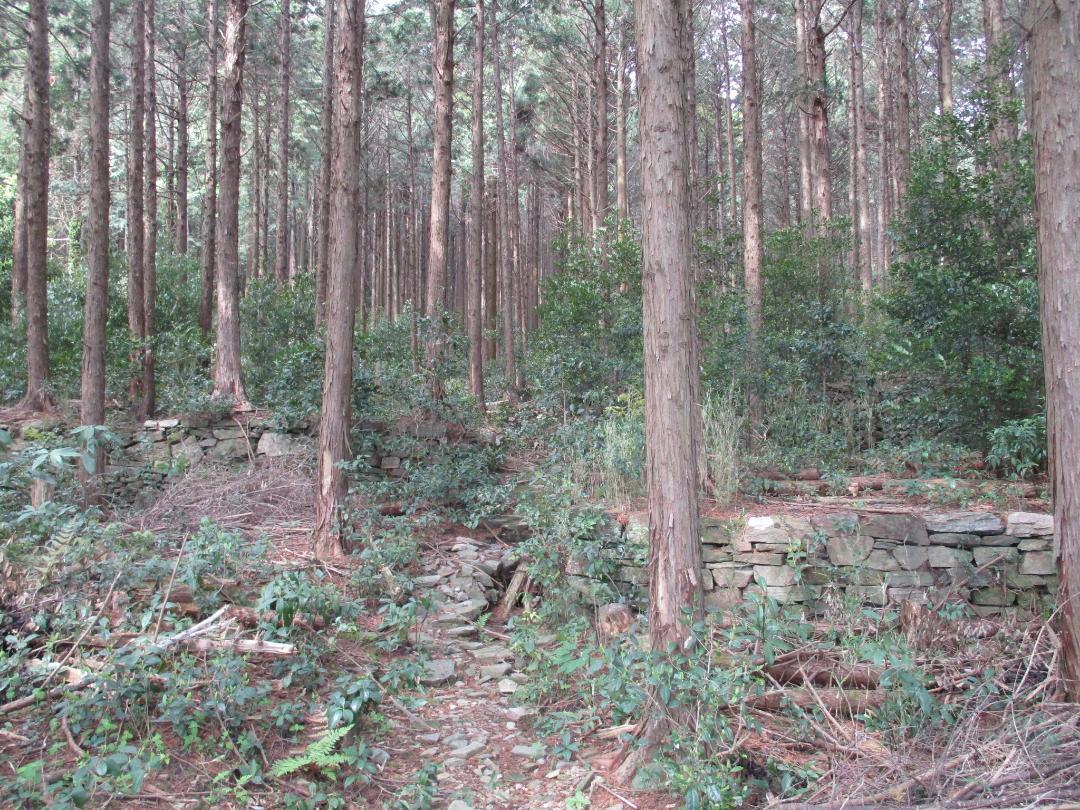Kakutsugawajou (8).jpg