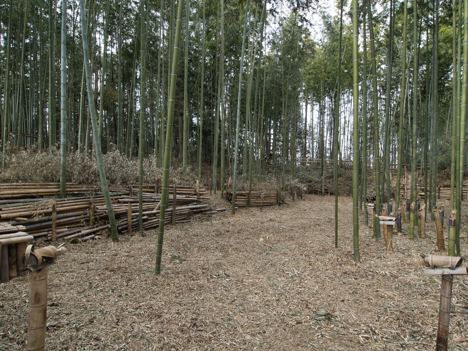 Takenaka17.jpg