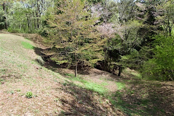 Odano11.jpg