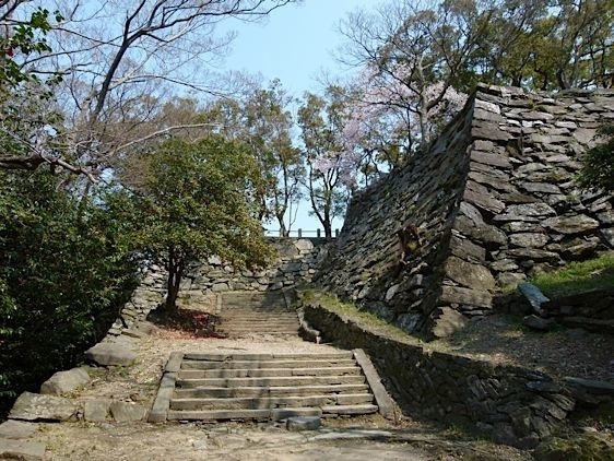 Tokushima4.jpg