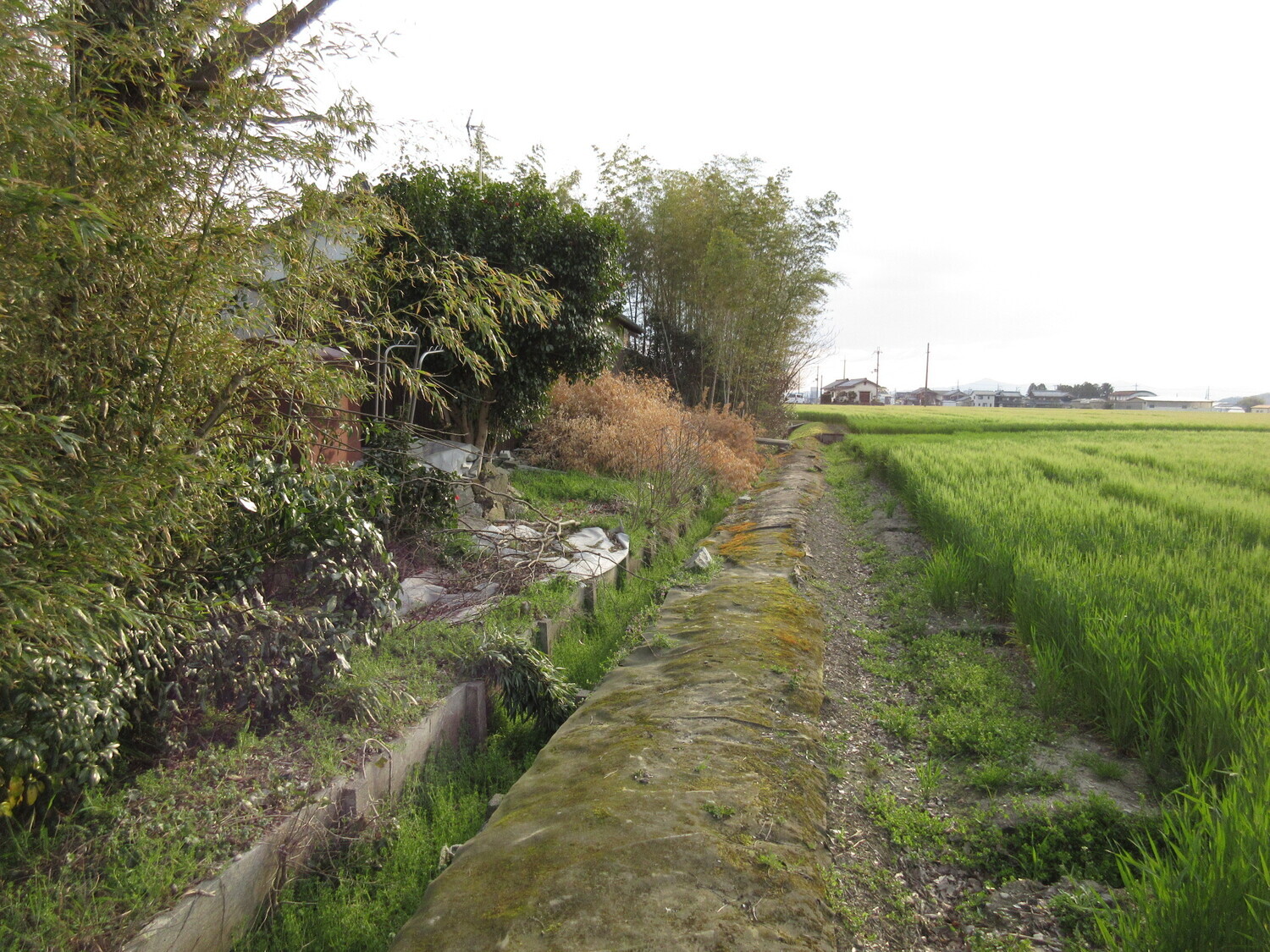 GamouKounoshoujou (2).JPG