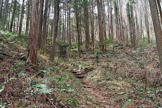 File:Tokura24.jpg