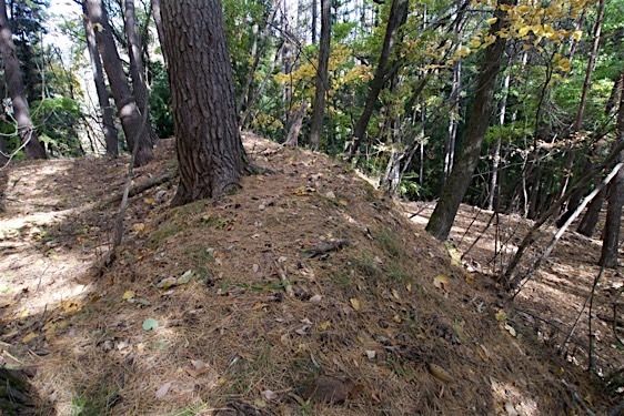 File:Yamabe36.jpg