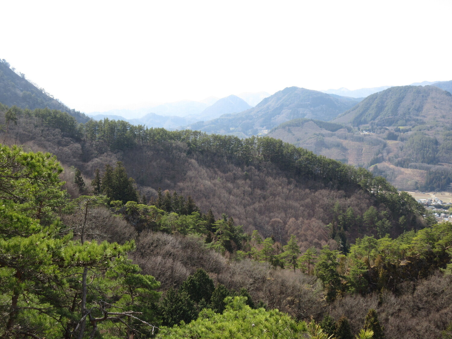 ShiodajouNishibouruigun (4).JPG