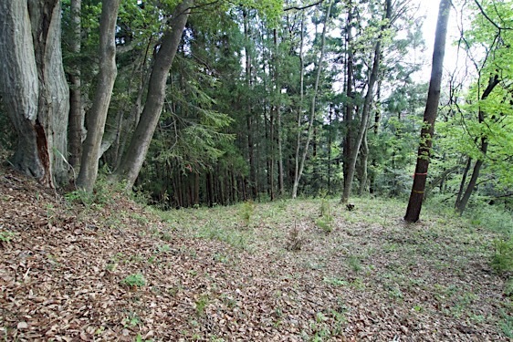 File:Gobara6.jpg