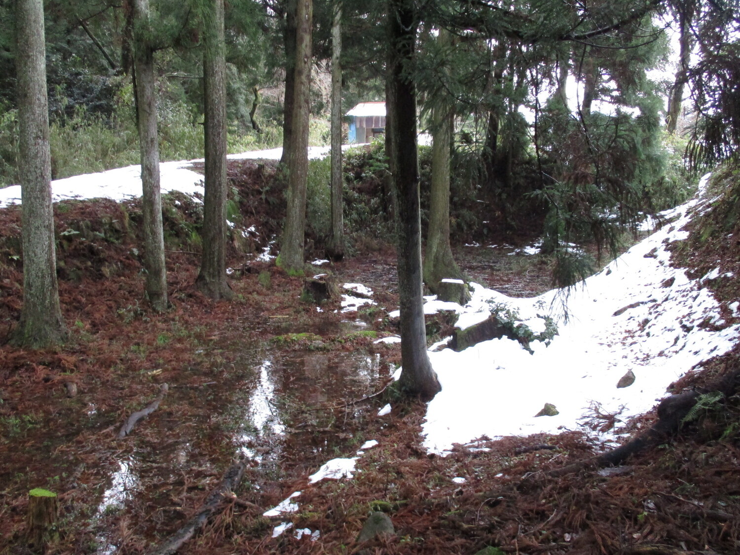 Hikidajou (1).JPG