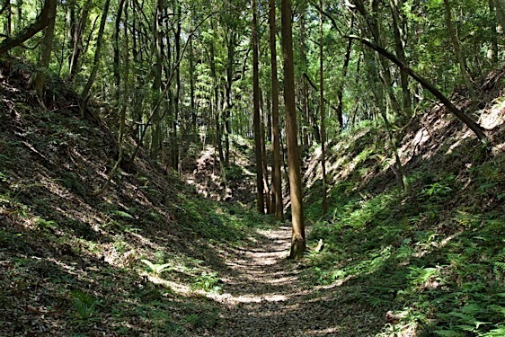 File:Obata34.jpg