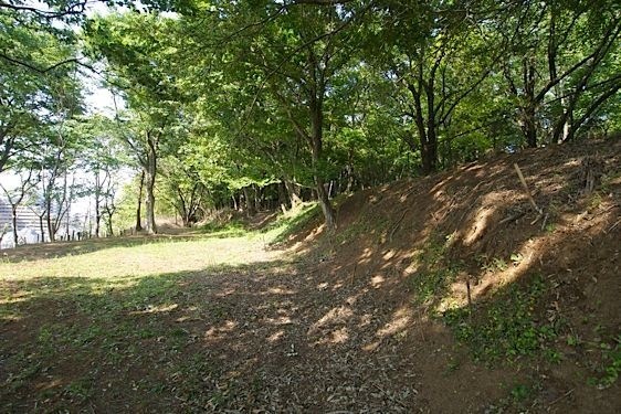 File:Usui32.jpg