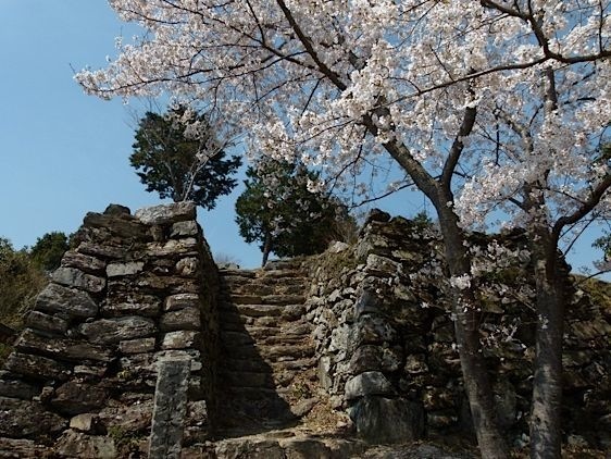 Ichinomiya1.jpg