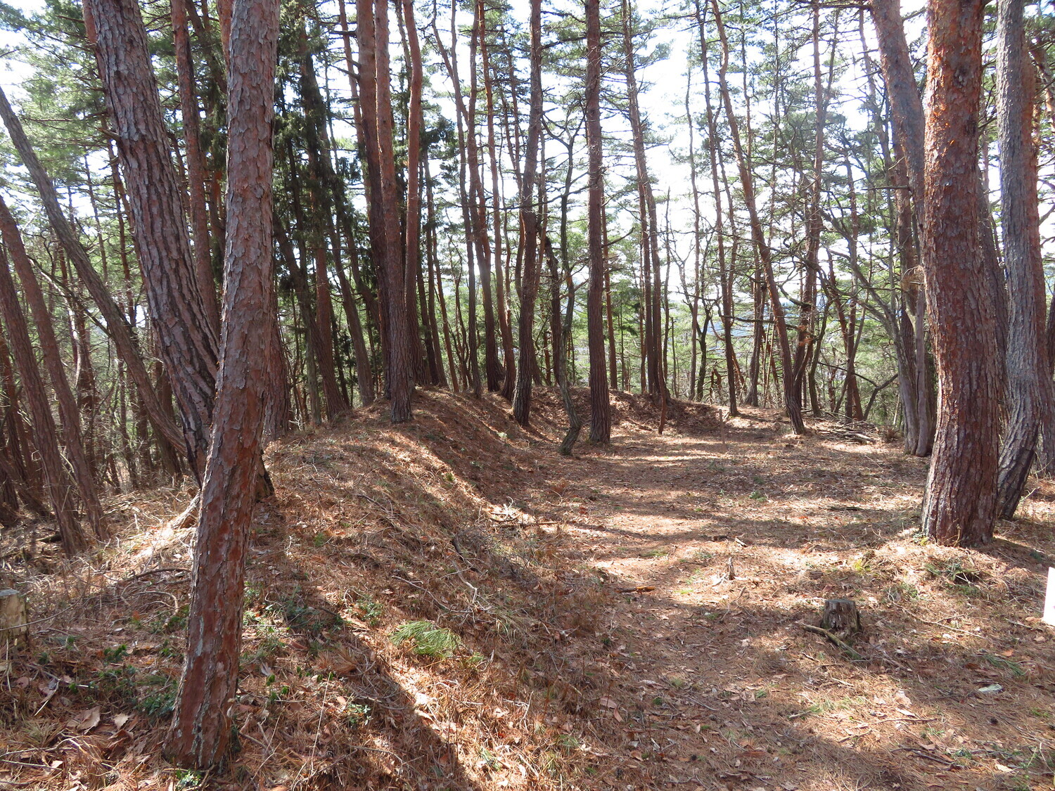 MinochiMasugatajou (1).JPG