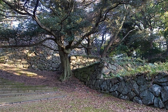 File:Hamada10.jpg