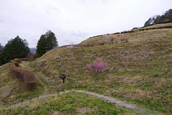 File:Minagawa3.jpg