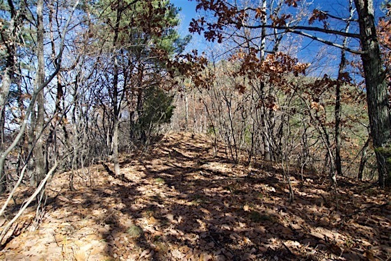 File:Washio24.jpg