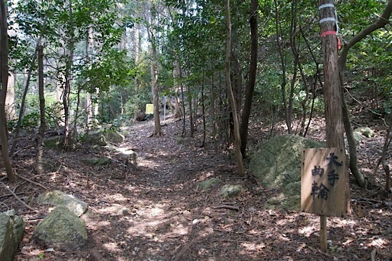 File:Ori8.jpg