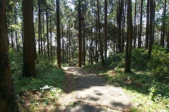 File:Sakata2.jpg