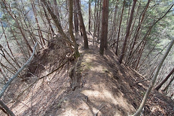 File:Kuma1.jpg