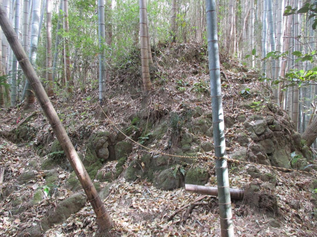 KagohanaToride004.jpg