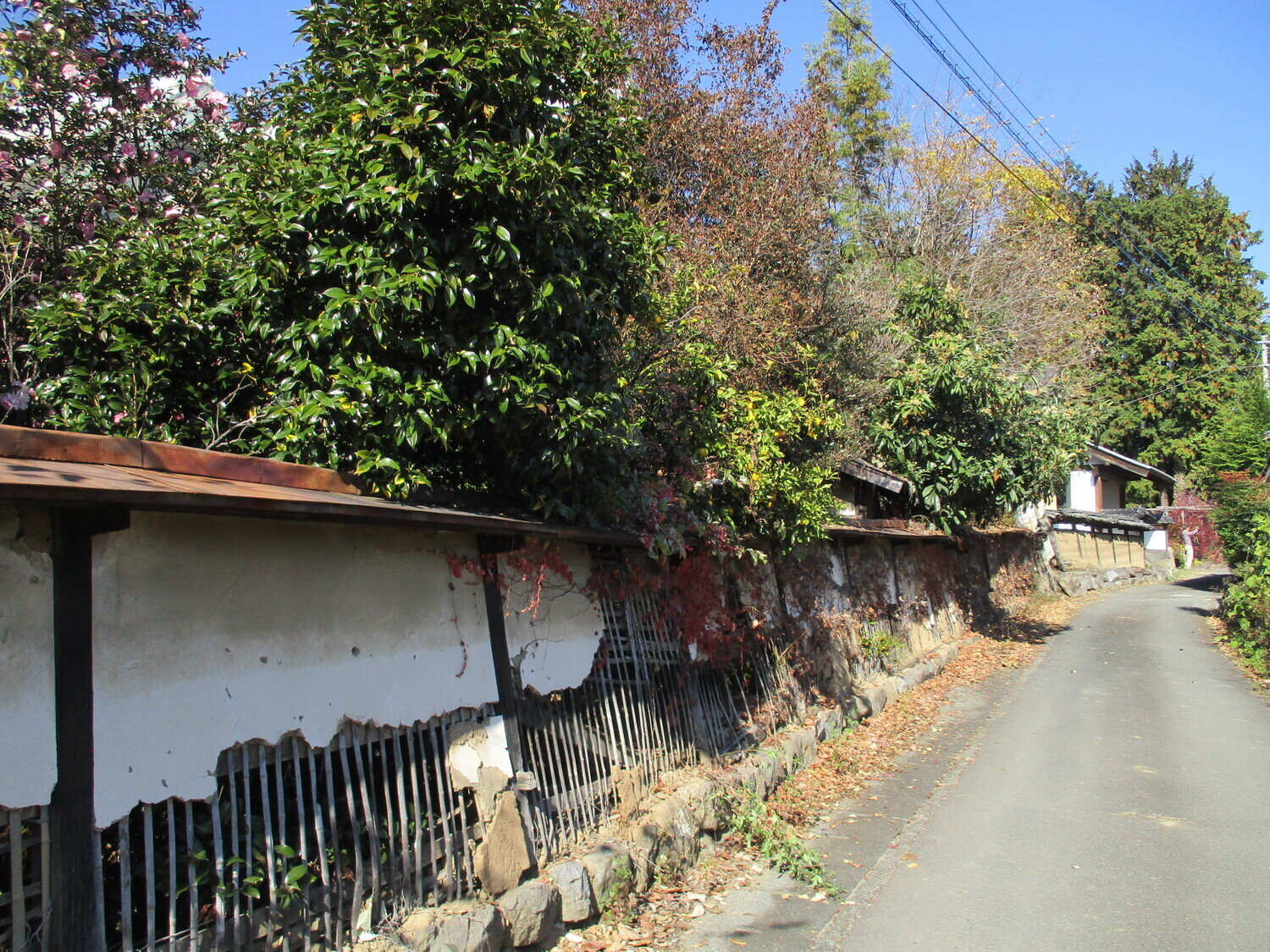 KaiBusshiharaRui (21).JPG