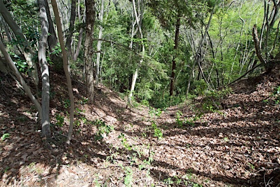 File:Jofukuji5.jpg