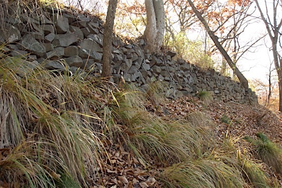 File:Kasumi7.jpg