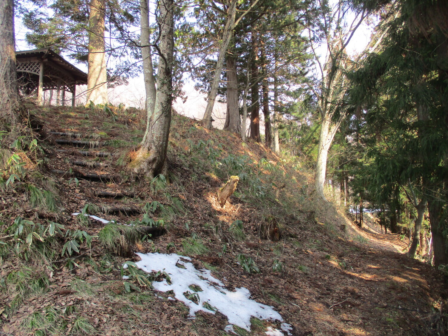 TakaiTakaharajou (3).JPG