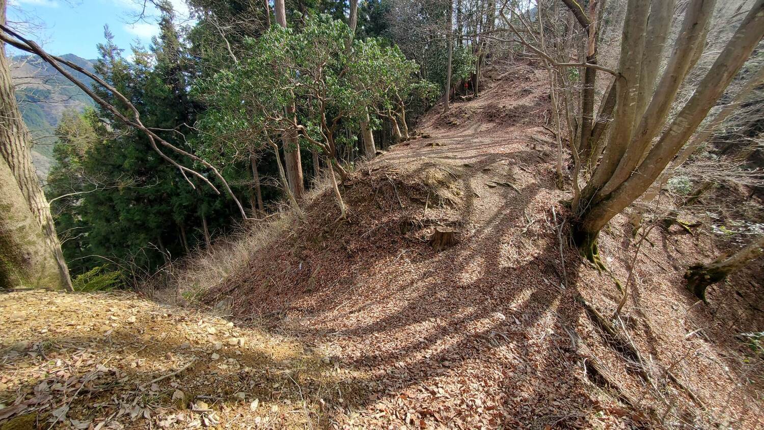 MusashiHinoharajou (1).jpg