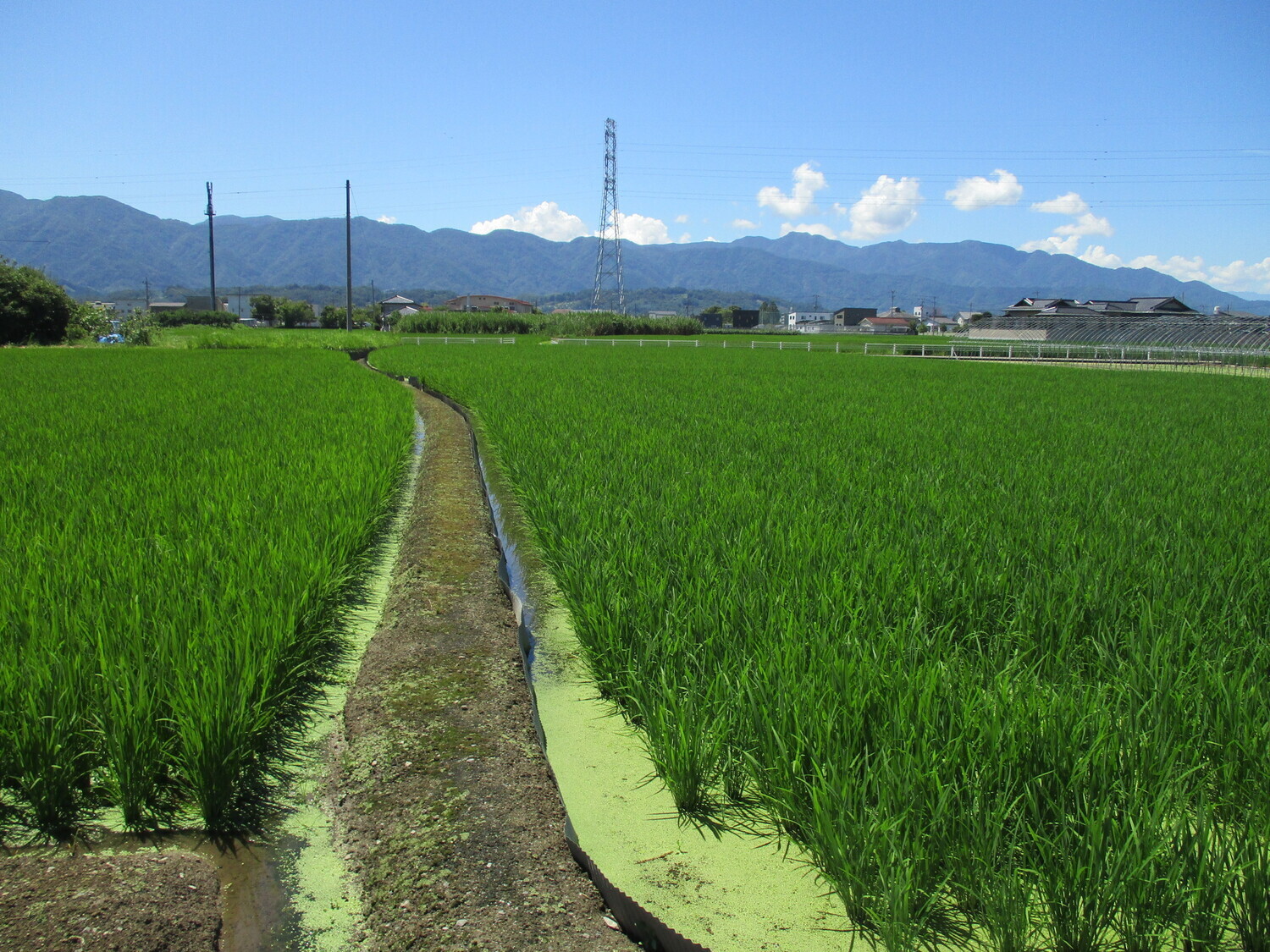 KaiImaiYashiki (1).JPG