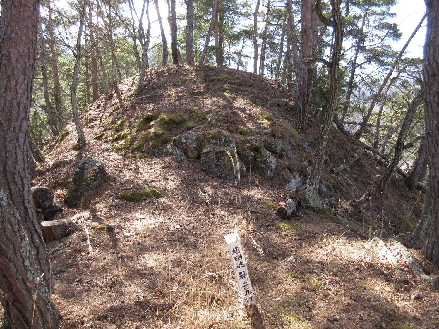 ShiodajouNishiToride (1).JPG