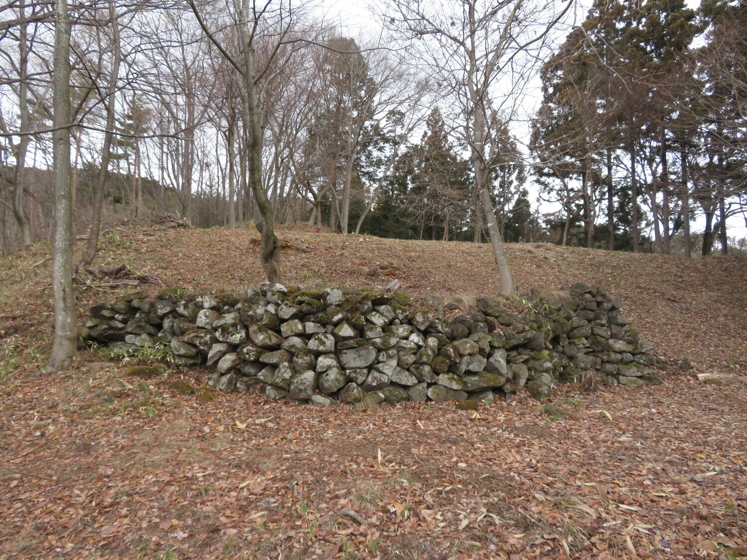 Shiozakijou (1).JPG