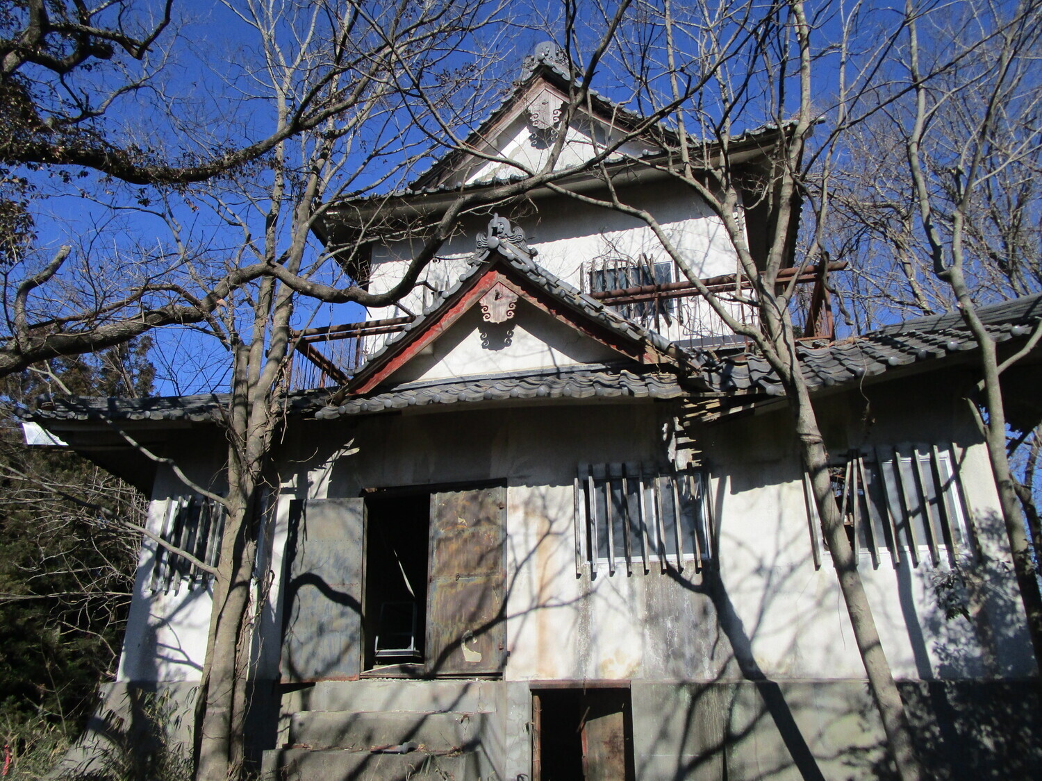 MusashiTenjin'yamaCloseUp.JPG