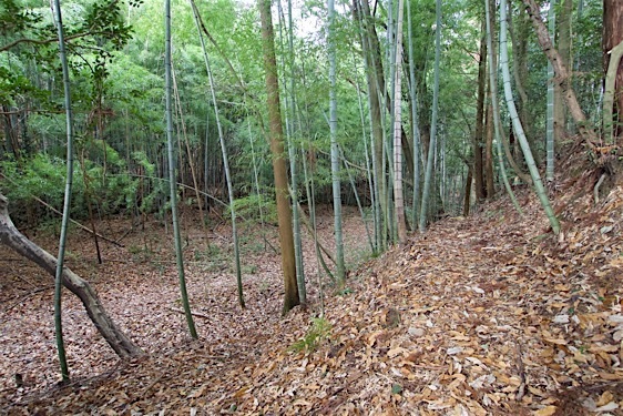File:Akutagawasan18.jpg