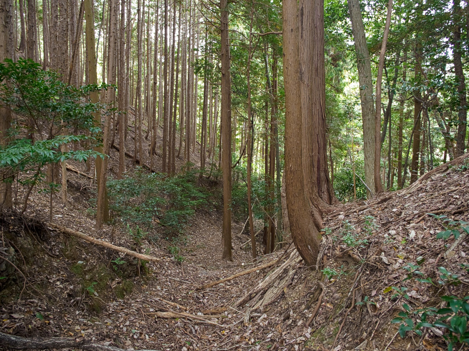 Okudanitanba14.jpg