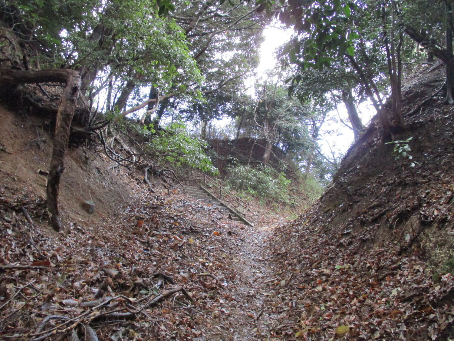 Tezutsuyamajou (1).JPG