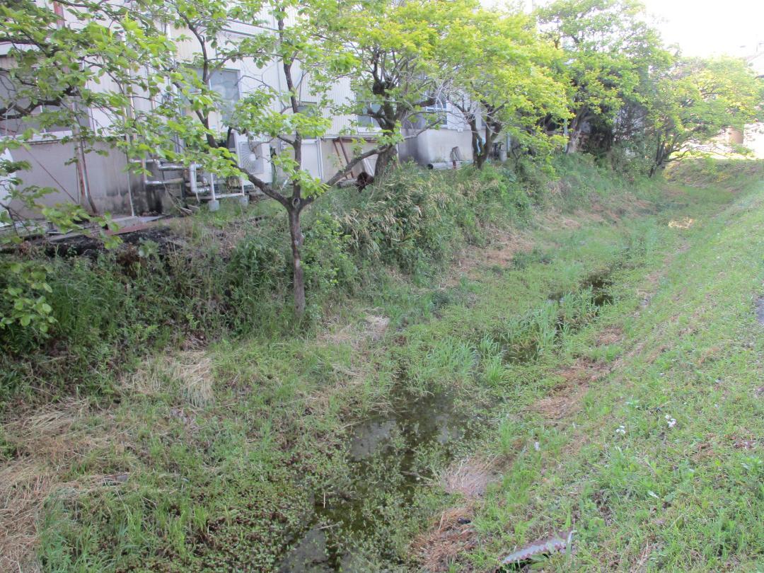MaruyamaDouenjou (1).jpg