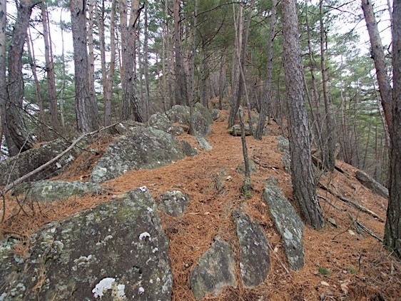 File:Matsuoko30.jpg