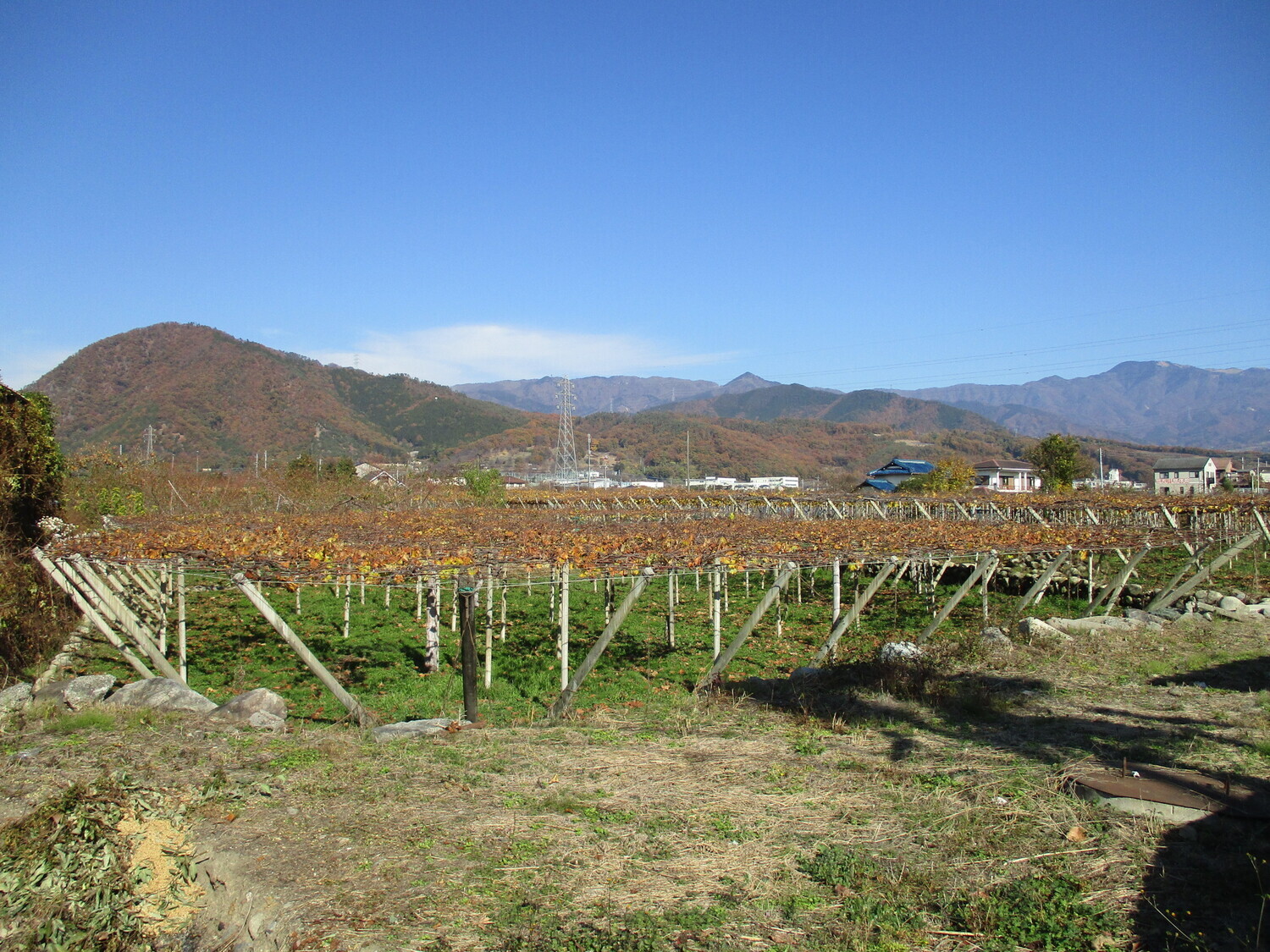 TokumiJinya (4).JPG