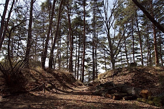 File:Yogaisan23.jpg