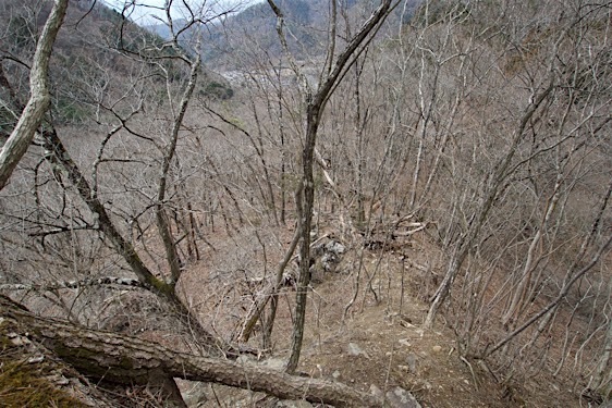 File:Kuma29.jpg