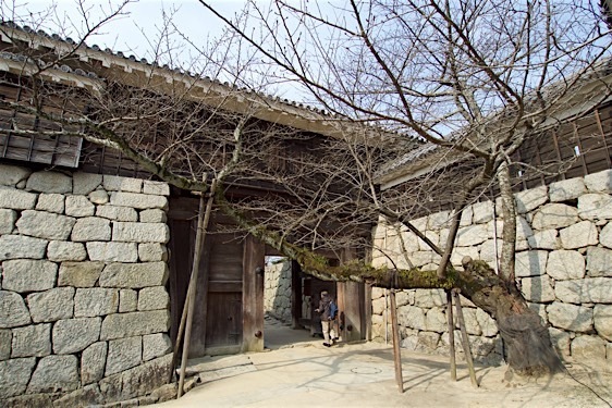 File:Matsuyama12.jpg