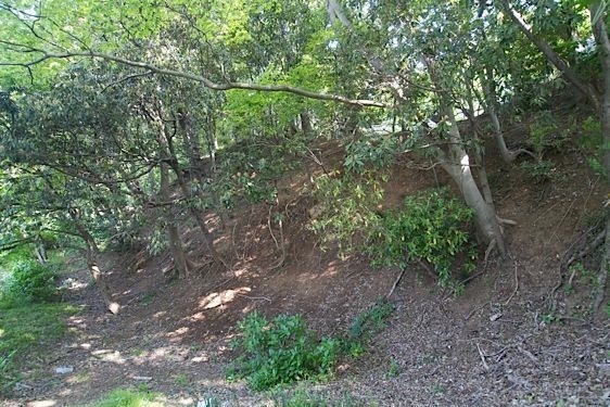 File:Usui12.jpg