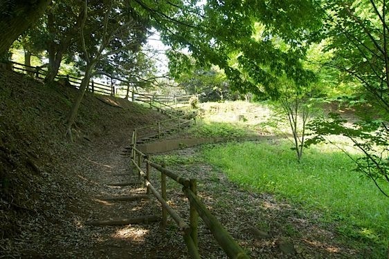 File:Usui19.jpg