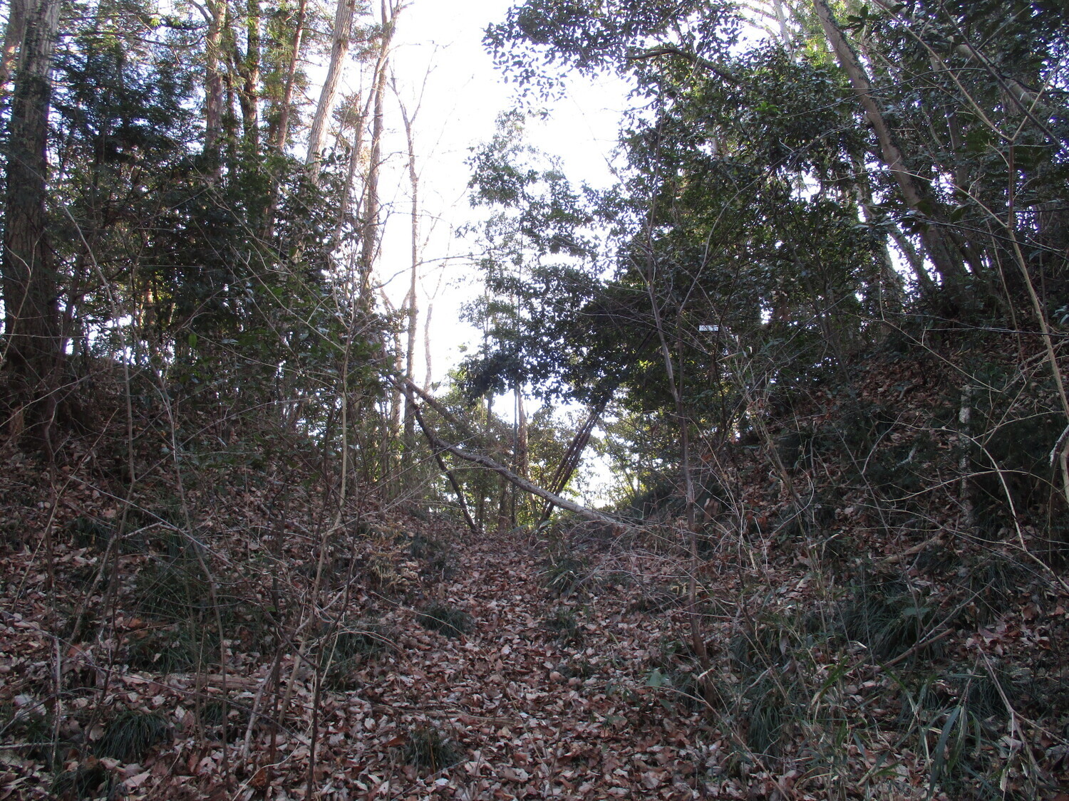SagamiKomatsujou (3).JPG