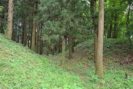 File:Zen6.jpg
